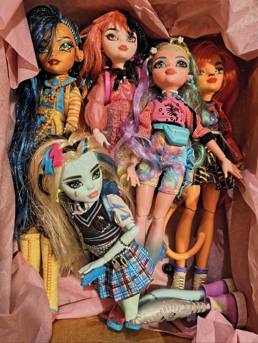 5 Monster High Dolls & Accessories - Frankie, Lagoona, Cleo, Draculara, & Toreli